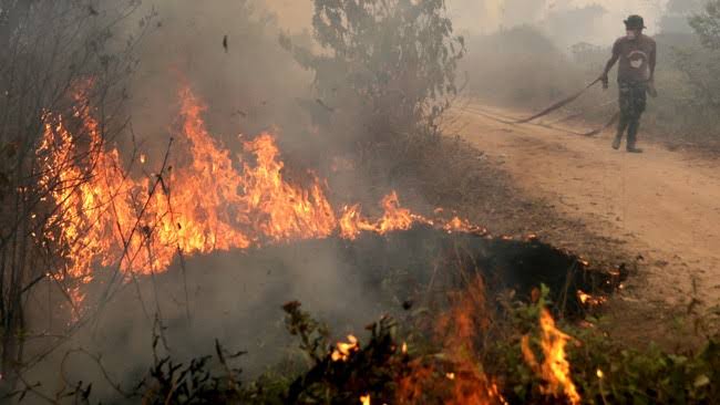 94 Hotspot Tersebar di Sumatera Sore ini, 5 Titik di Riau
