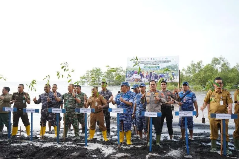 Korem WB dan Polda Riau tanam 26.800 bibit bakau