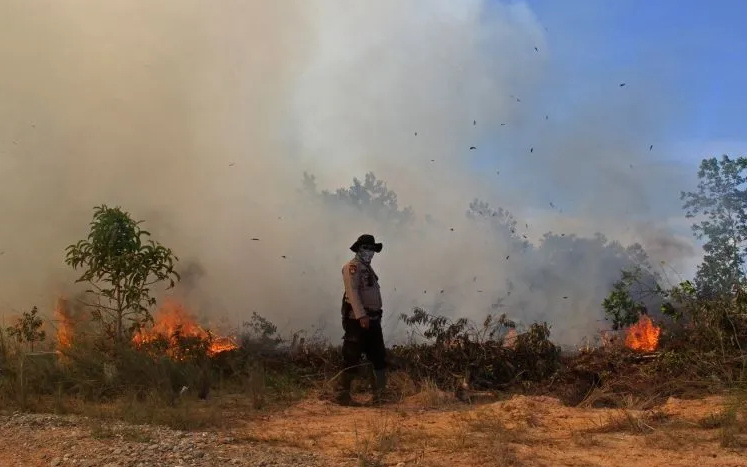Mendagri Tito Karnavian Instruksikan Kepala Daerah Siaga Hadapi Potensi Karhutla