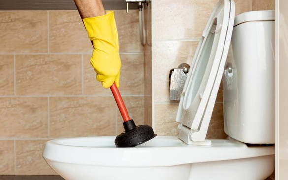 DPD RI Jelaskan Anggaran Rp4,8 Miliar untuk Renovasi Toilet