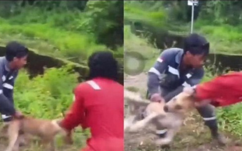 Viral Aksi 3 Pria Lempar Seekor Anjing Hingga Diterkam Buaya