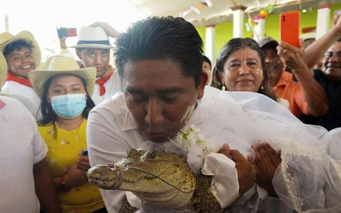 Kejadian Tak Biasa, Walikota di Mexico Nikahi Buaya