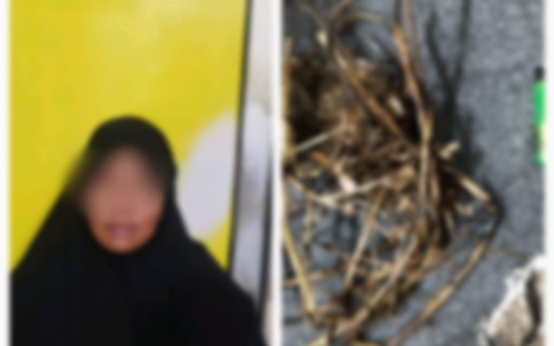 Seorang IRT Bakar Hutan dan Lahan di Dumai Terancam 10 Tahun Pidana