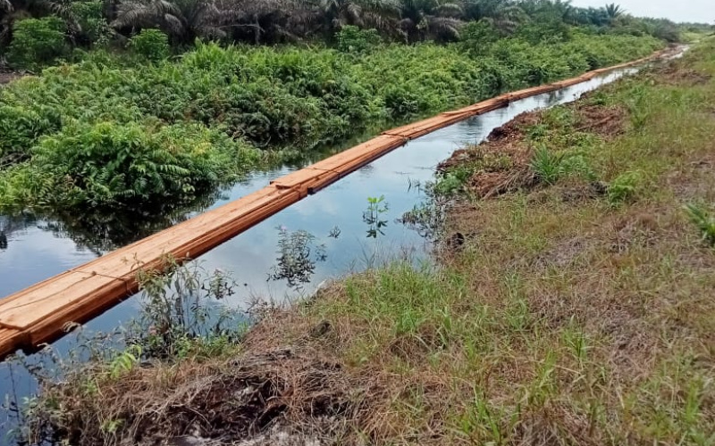 Miris, Kayu Ilegal dari Bengkalis Terindikasi Bebas Masuk Dumai