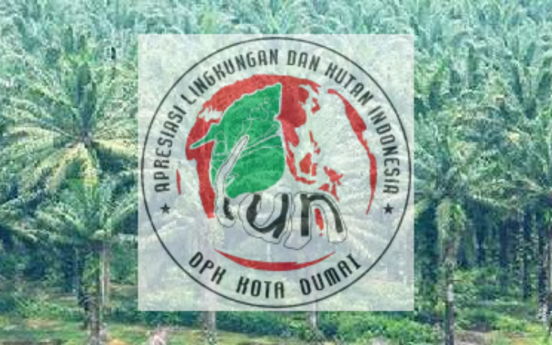 Rugikan Negara, Lahan Sawit di Kota Dumai Tak Kantongi Izin